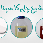 شیخ چلی کا سپنا